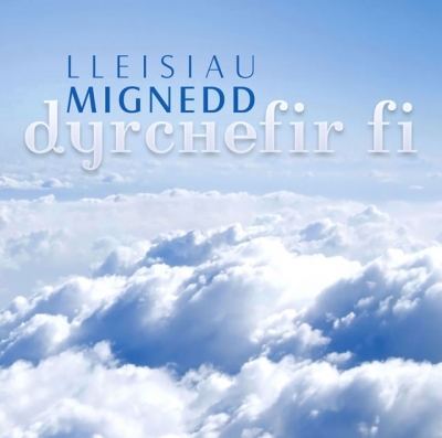 Cover: Dyrchefir Fi