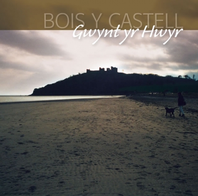 Cover: Gwynt Yr Hwyr