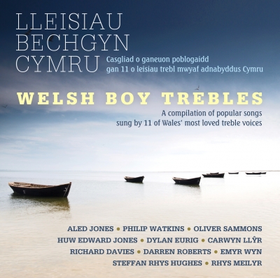 Cover: Lleisiau Bechgyn Cymru
