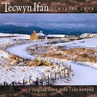 Cover: Llwybrau Gwyn