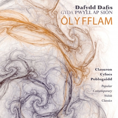 Cover: Ol Y Fflam