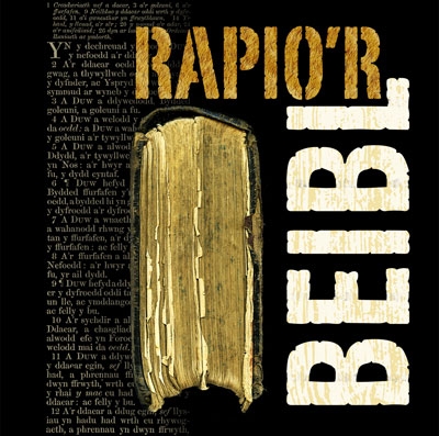 Cover: Rapio'r Beibl