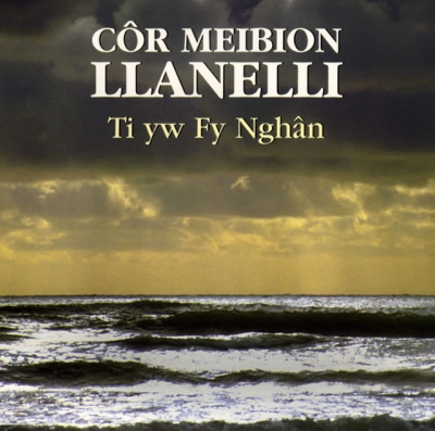 Cover: Ti Yw Fy Nghan