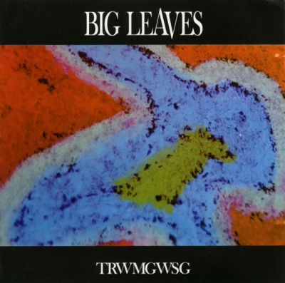 Cover: Trwmgwsg